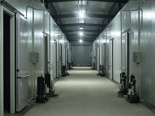 關(guān)于我們 關(guān)于我們